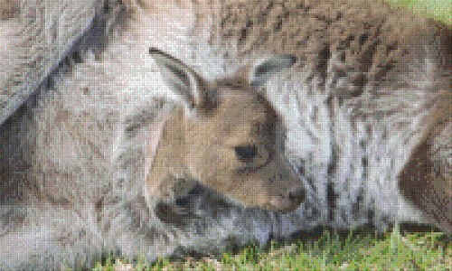 Pixelhobby kangaroe in buidel 12 basisplaten. Het Kralendorp goedkope ...
