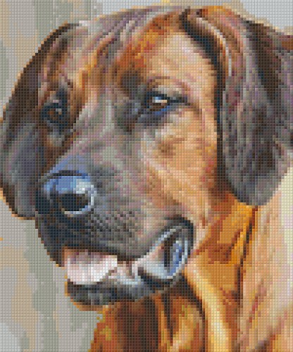 Pixelhobby 6 platen hond. Het Kralendorp goedkope kralen - fimoklei ...